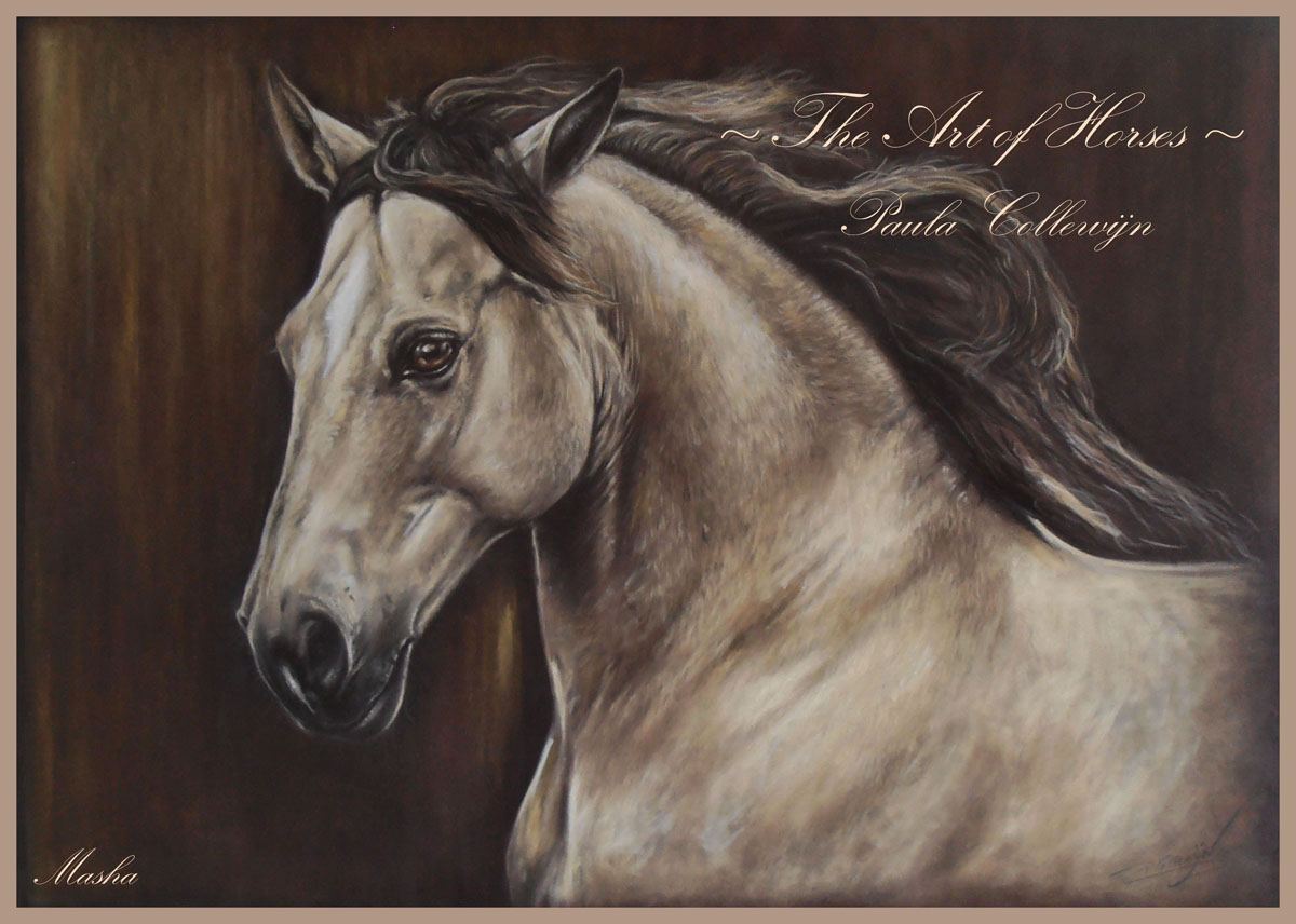 Horse Artwork - Art Gallery